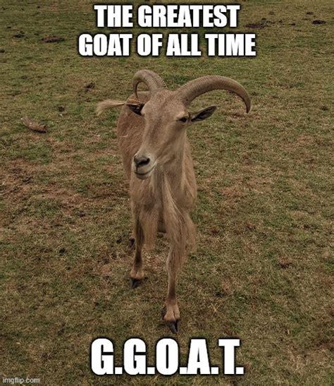 goat greatest of all time meme